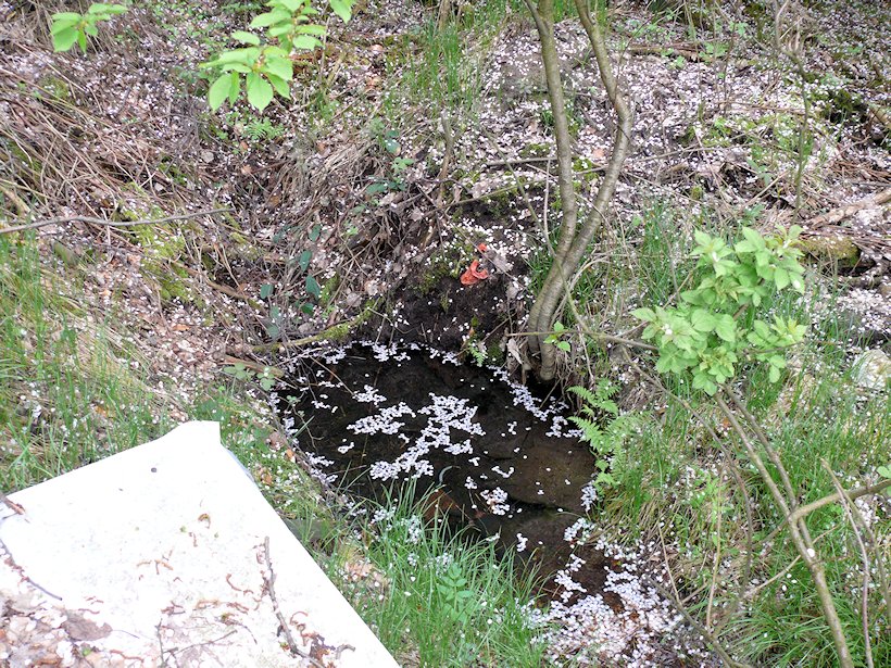 studánka Pod Čtvercem (6790)