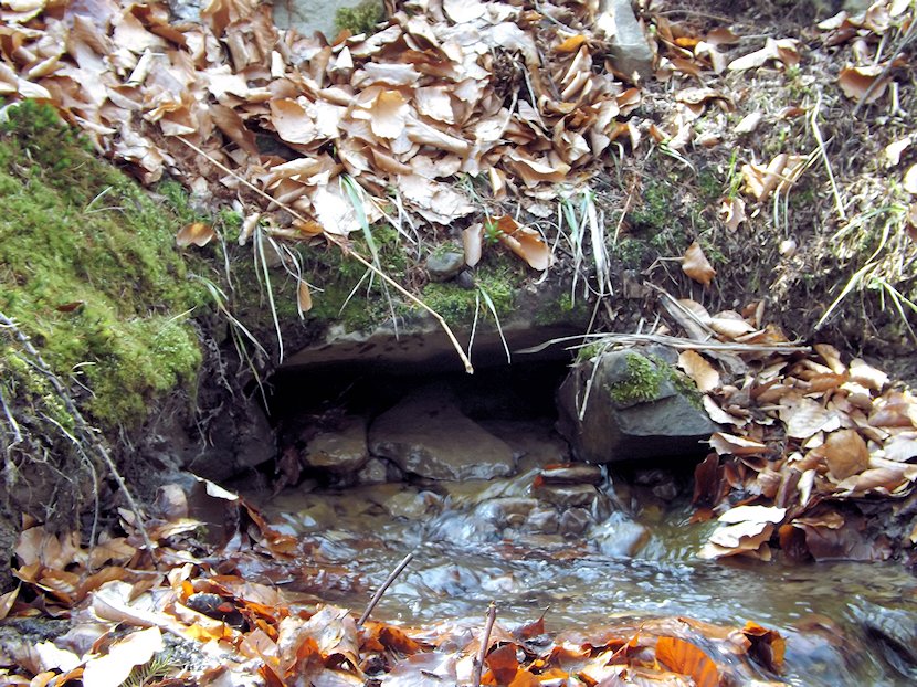 studánka V hraběcím (6798)