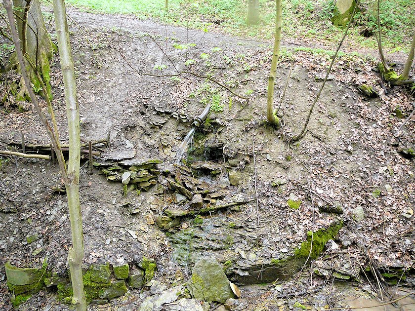 studánka U Komenského pomníku (6811)
