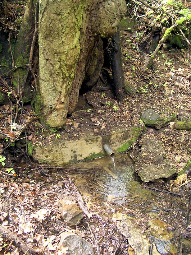 studánka Modrá voda (6815)