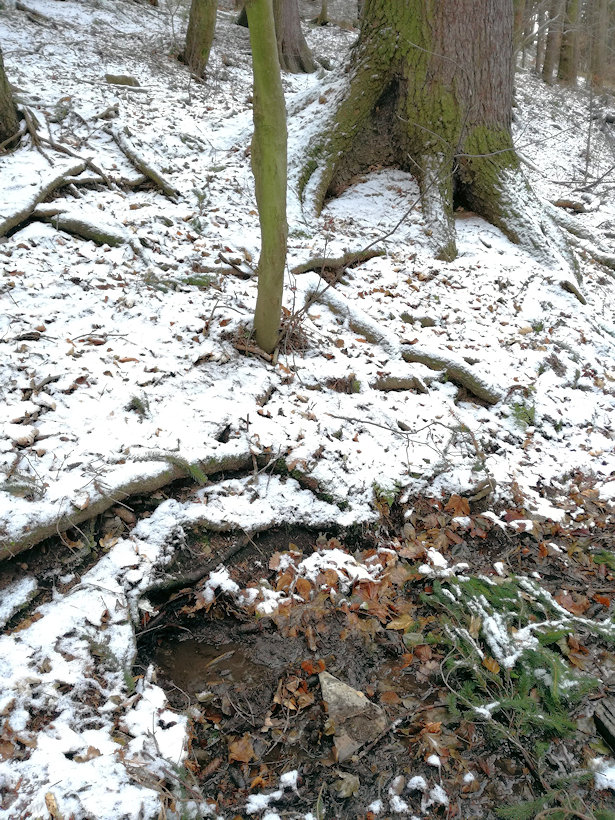 studánka Pod Hůrkou (6818)