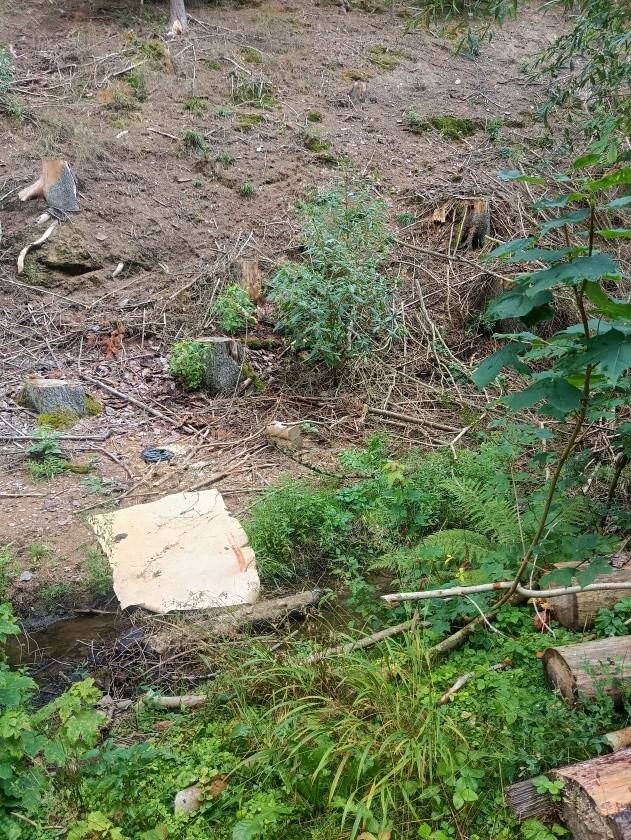 Studánka u Vilímů (6828)