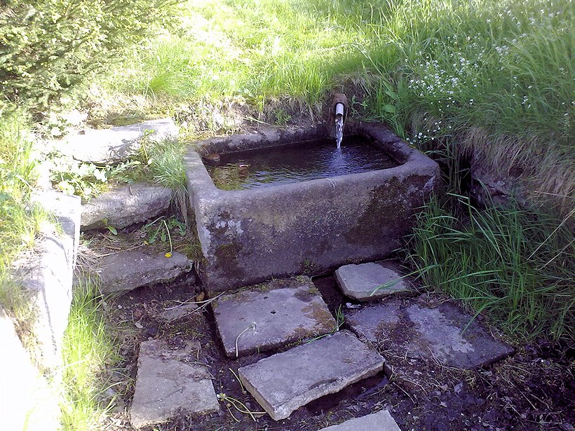 studánka bez jména (6829)