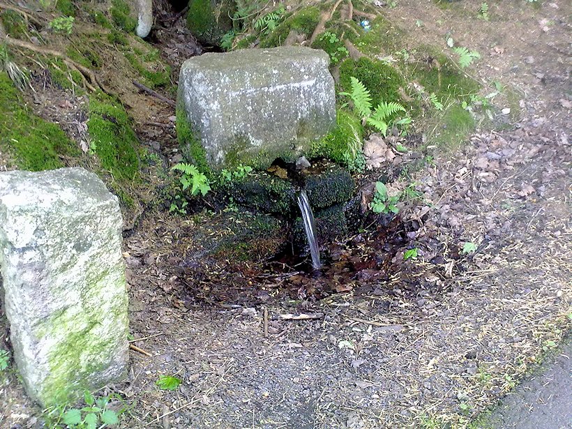 Breuerova studánka (6831)