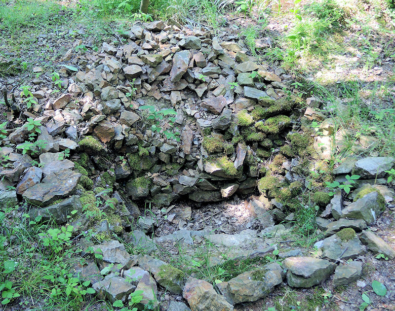 studánka V sadu (6835)
