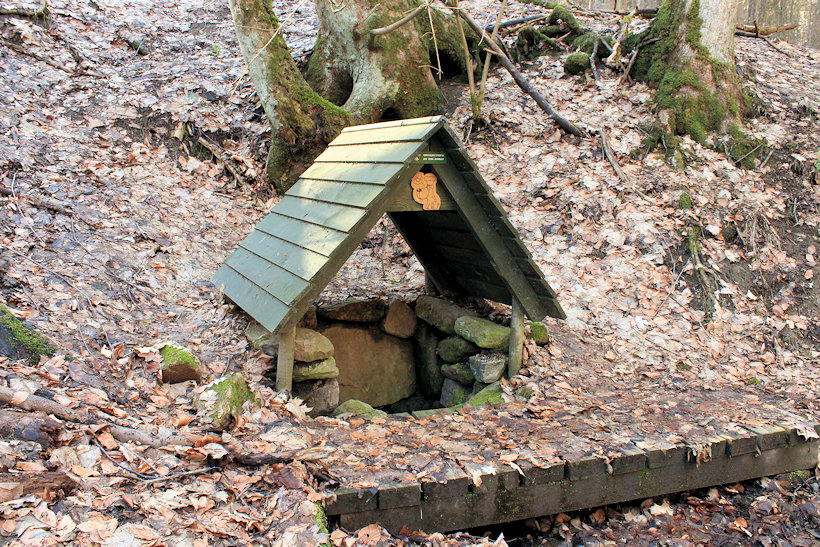 studánka V Psí kuchyni (6836)