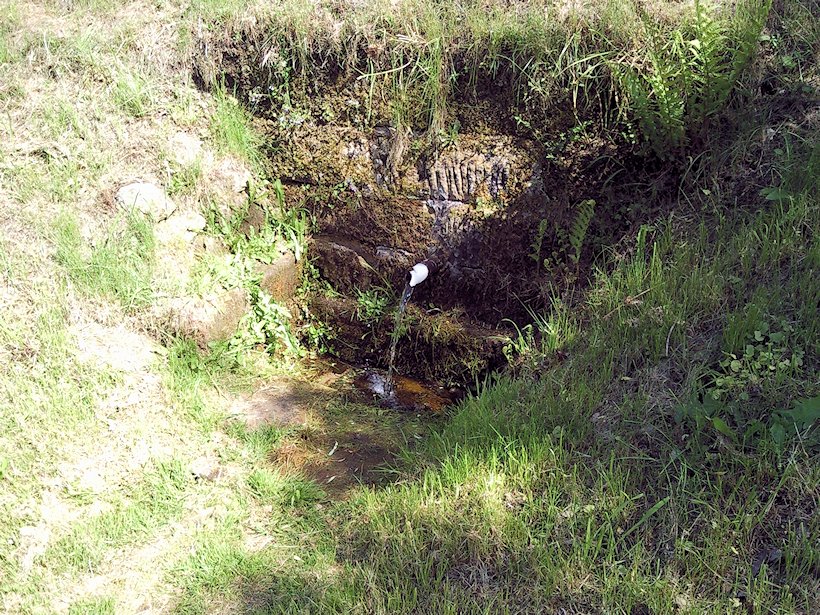 studánka bez jména (6841)