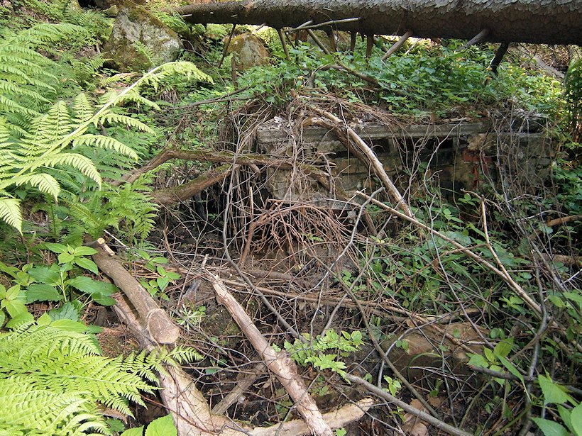 studánka bez jména (6844)