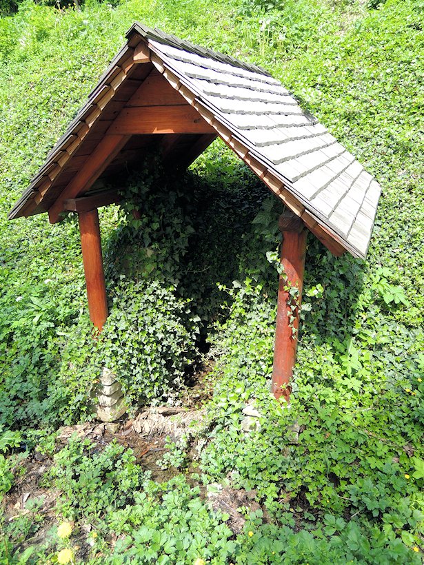 studánka Pod Starou horou (6848)