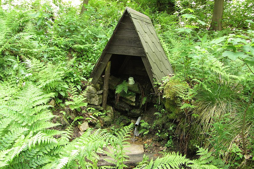 Pekelská studánka (6849)