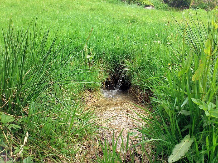 studánka bez jména (6865)