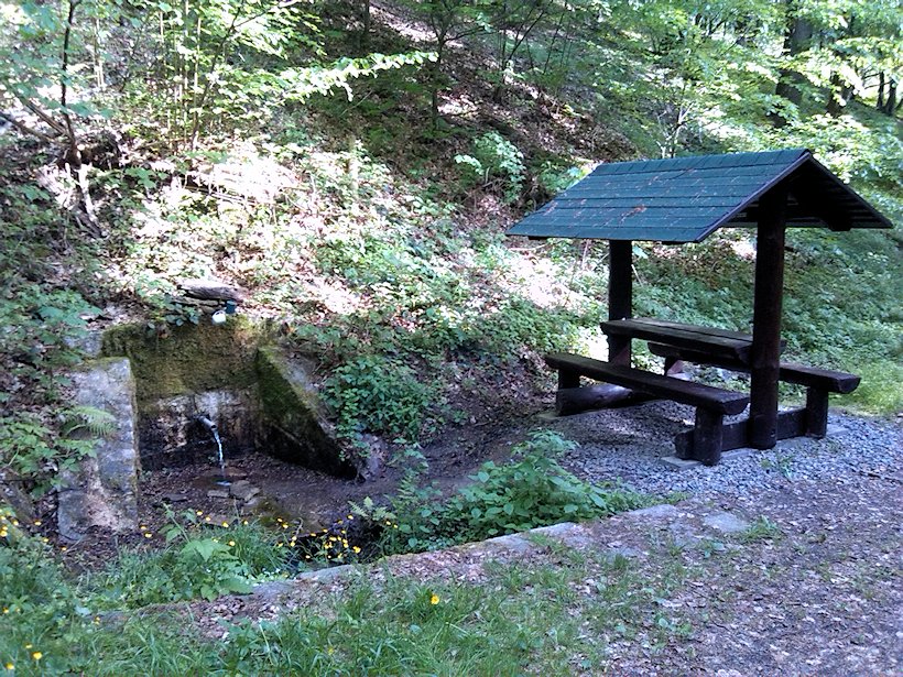 studánka V Údolí Sejfů (6881)