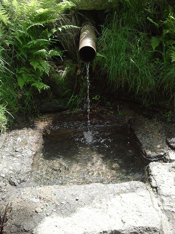 studánka U obrázku (6883)