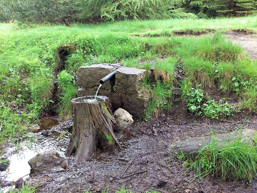 studánka bez jména (6885)