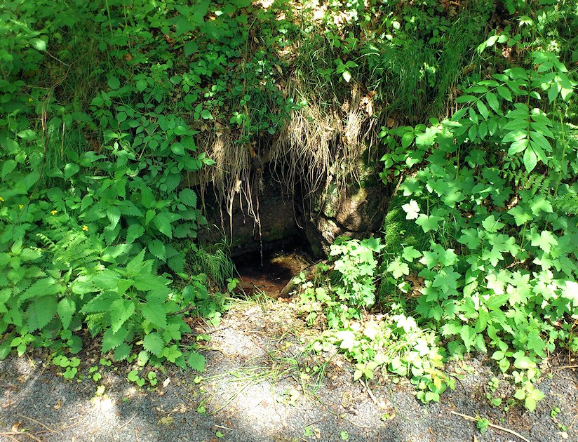 studánka bez jména (6891)
