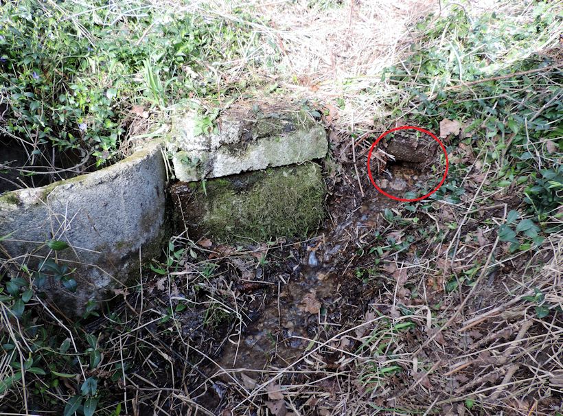 studánka Pod můstkem (6894)