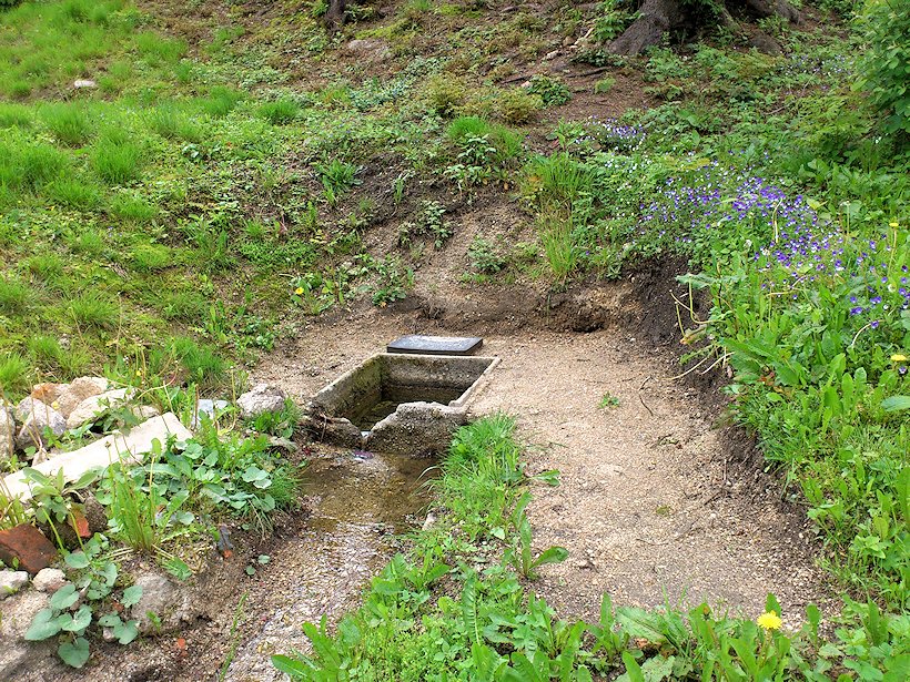 studánka bez jména (6920)