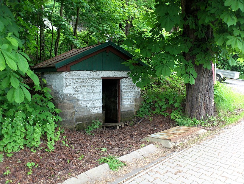 studánka bez jména (6921)