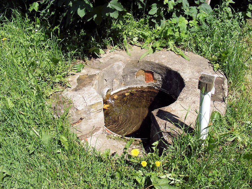 studánka bez jména (6938)