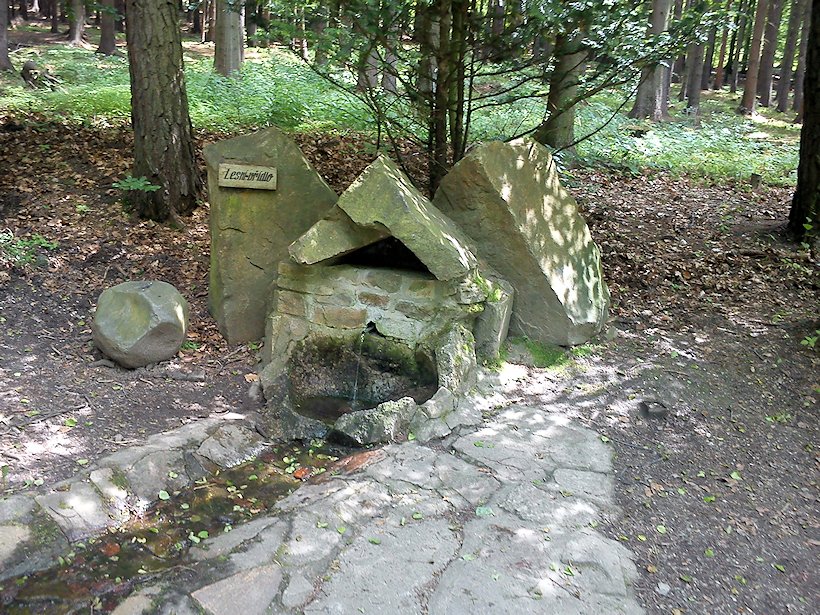 studánka Lesní vřídlo (6945)