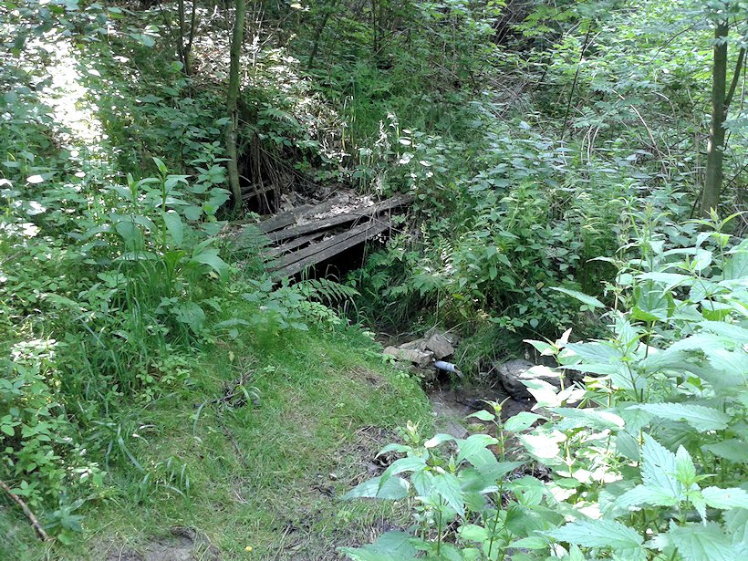 Studánka v Hájku (6946)