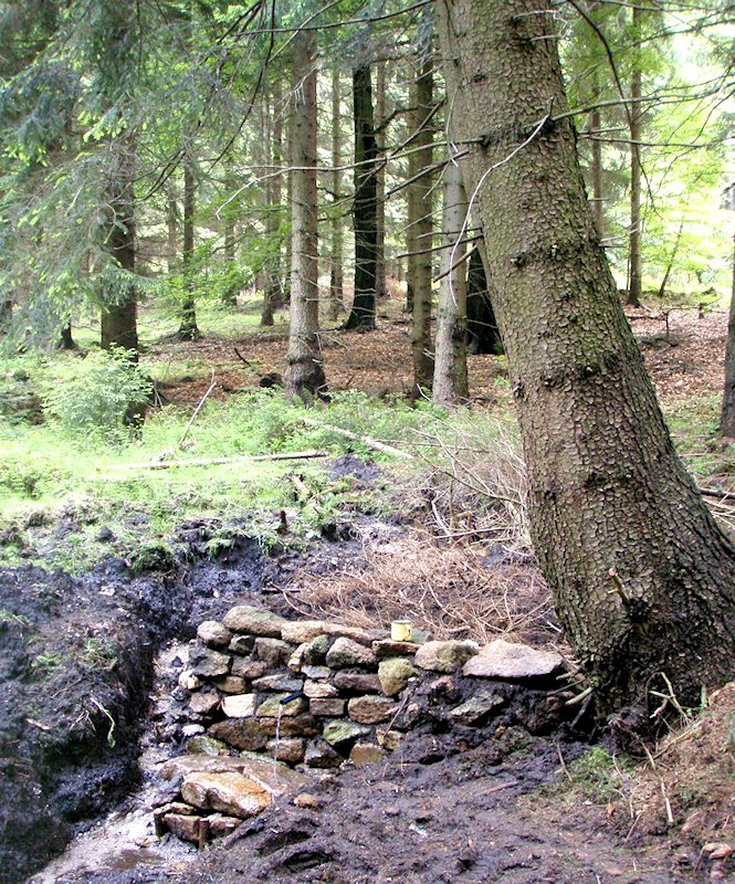 Kančí pramen (6951)
