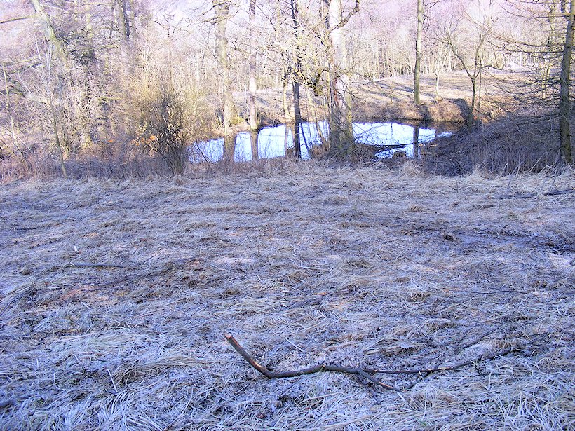 Prameniště Pokratického potoka (6957)