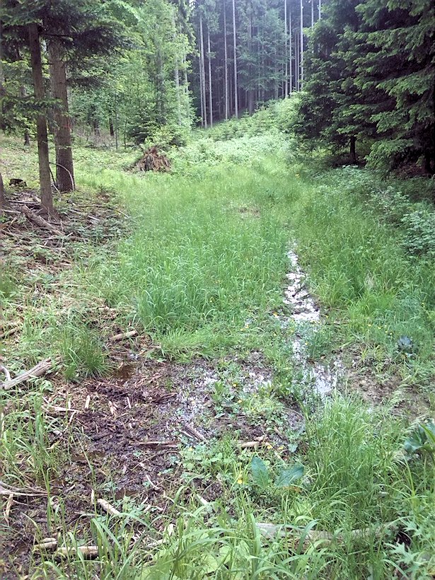 pramen Pod Předělem (6958)