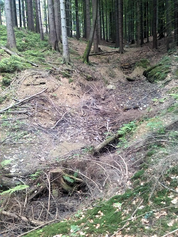 prameniště Pod Palicí (6959)