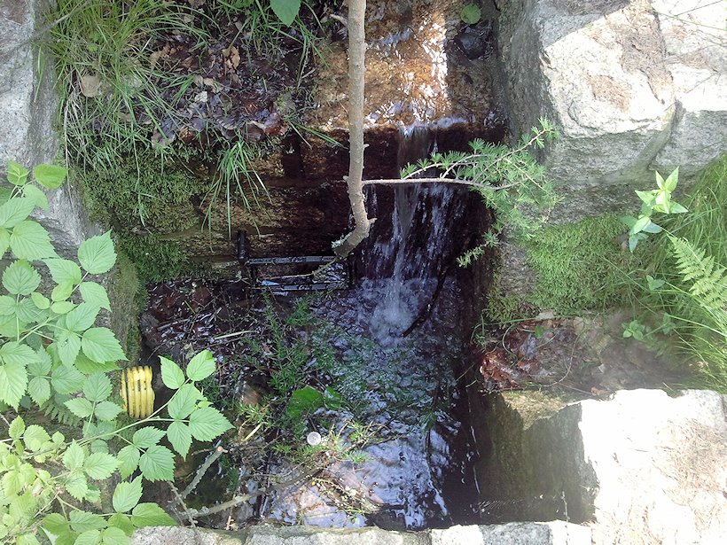 studánka bez jména (6983)