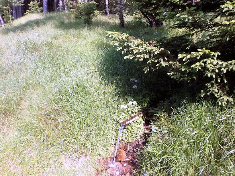 studánka Pod Křížovou horou (6993)