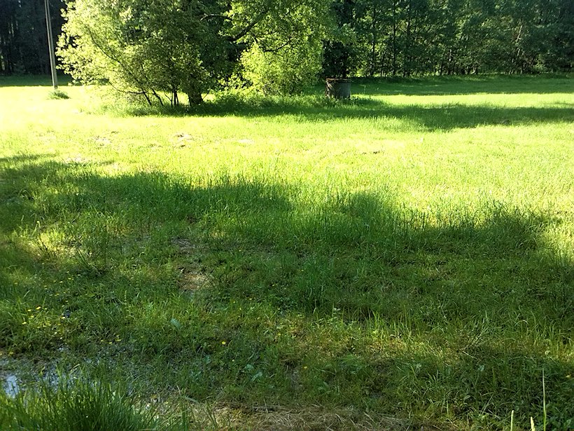 prameniště Květenský potok (7001)