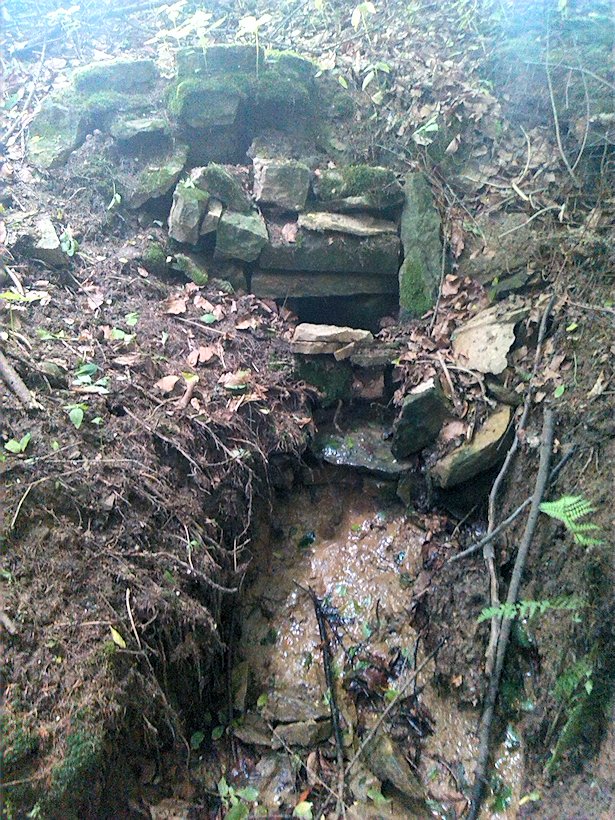 studánka Nad Čertovou lávkou (7004)