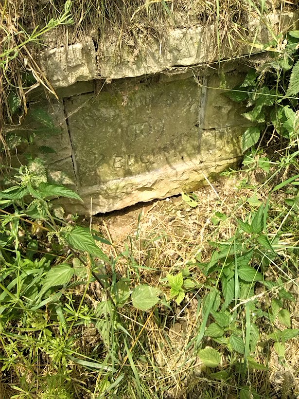 studánka Vodního družstva v Bučině (7005)