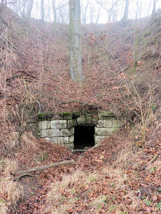 Sitenská studánka (7006)