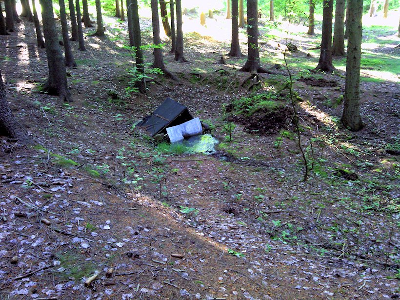 studánka bez jména (7009)