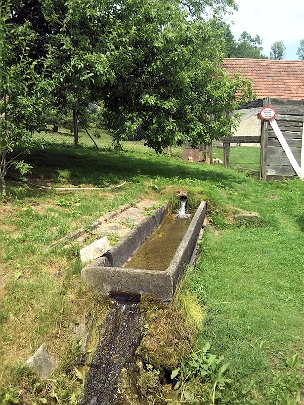 studánka V Javorníčku (7014)