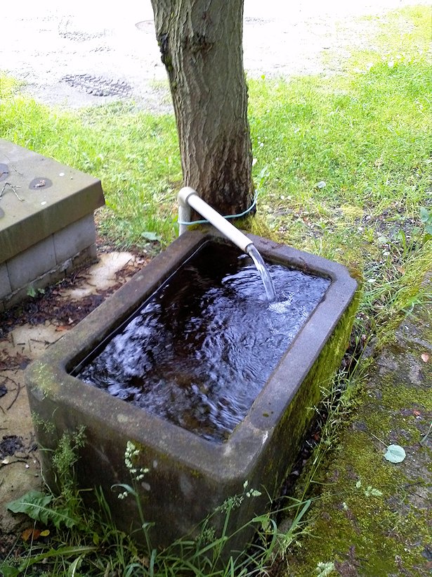 studánka bez jména (7029)