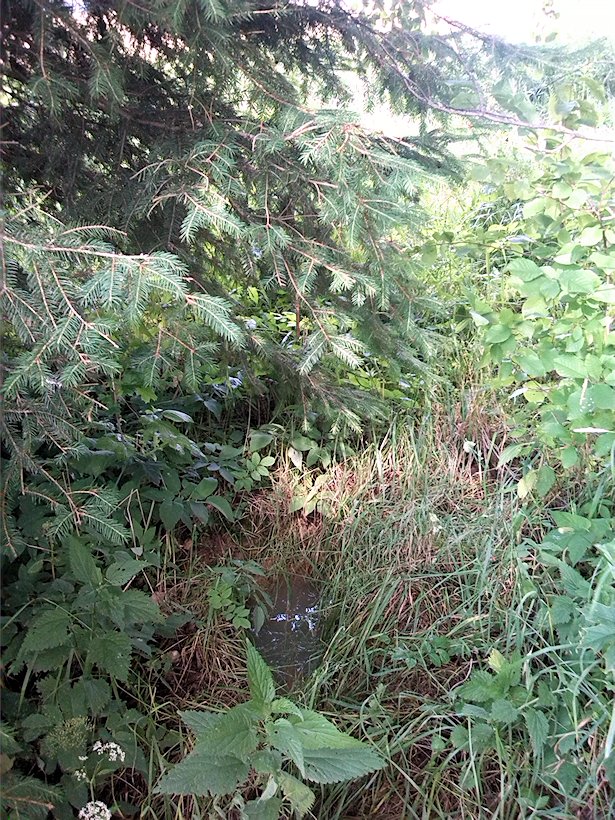 studánka U hangáru (7051)