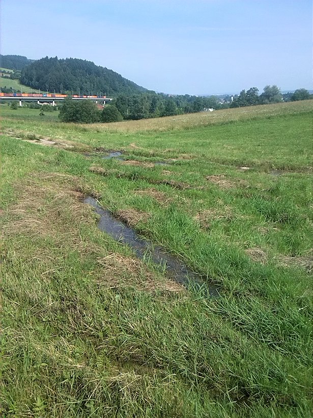 prameniště Za Beranovým mostem (7053)