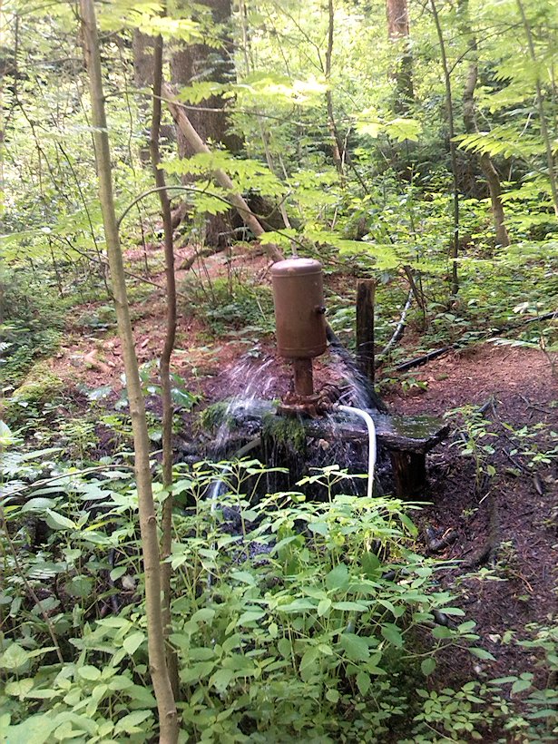 studánka Trkač pod pískovnou (7054)