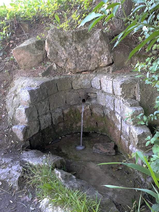 studánka U Šimkové skale (7058)