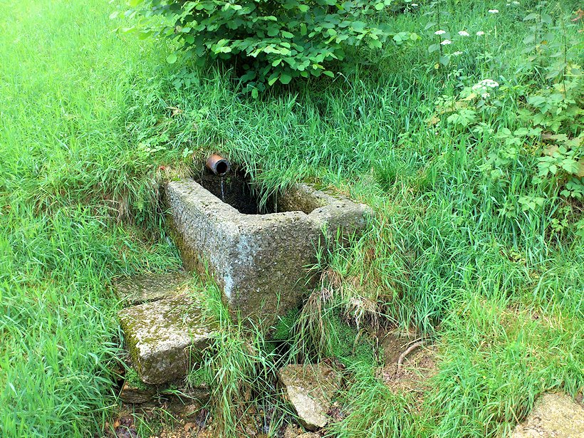 studánka bez jména (7060)