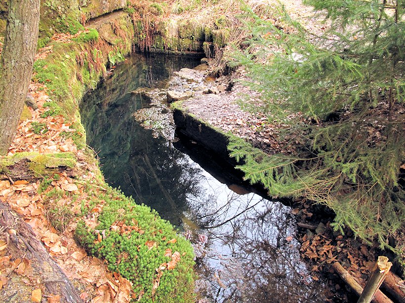 studánka bez jména (7063)