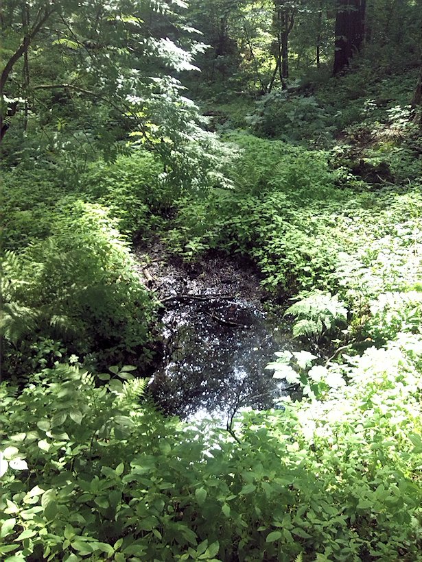 pramen Pod pískovnou (7070)