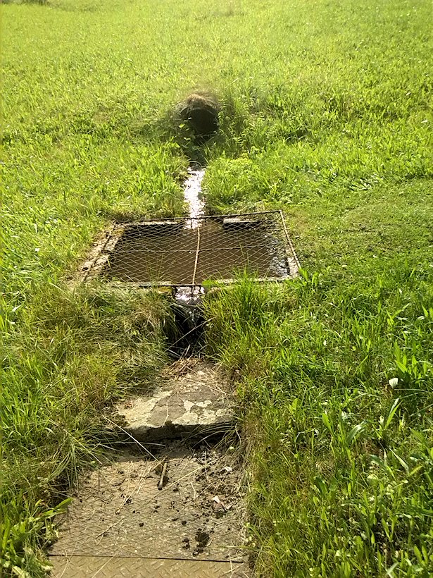 studánka Pod Horním lesem (7072)
