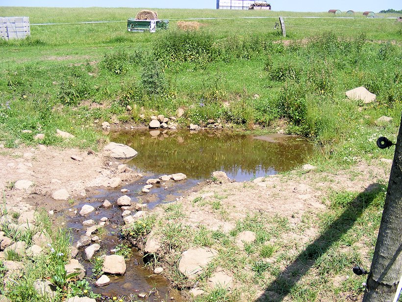 prameniště bez jména (7075)