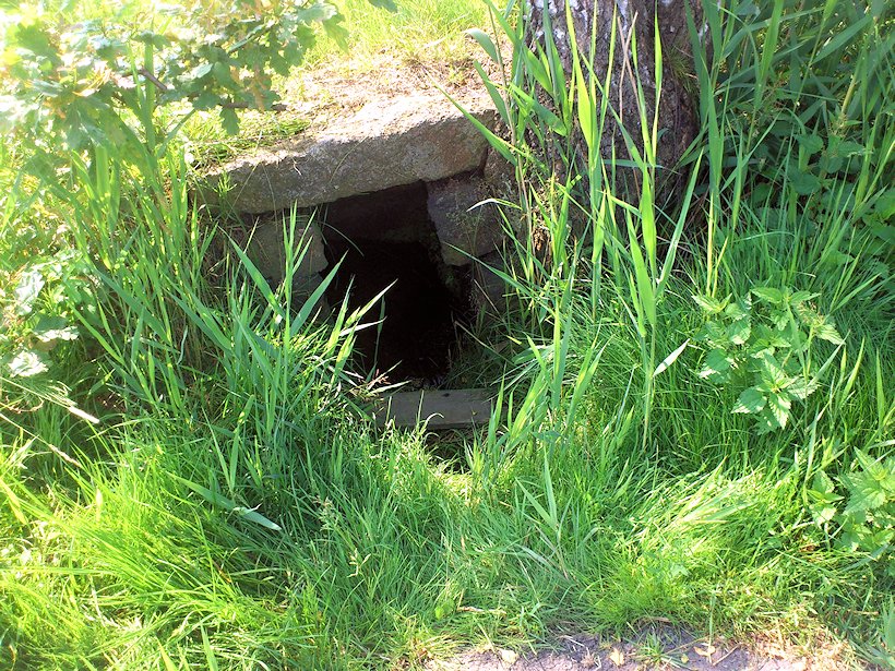 studánka bez jména (7077)