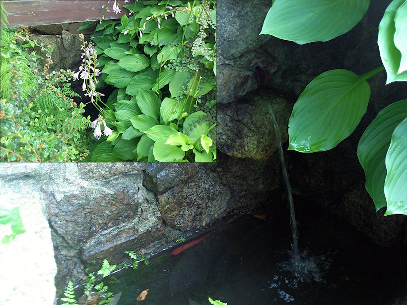studánka bez jména (7108)