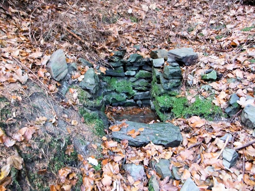 studánka Pod Jankovem (7113)